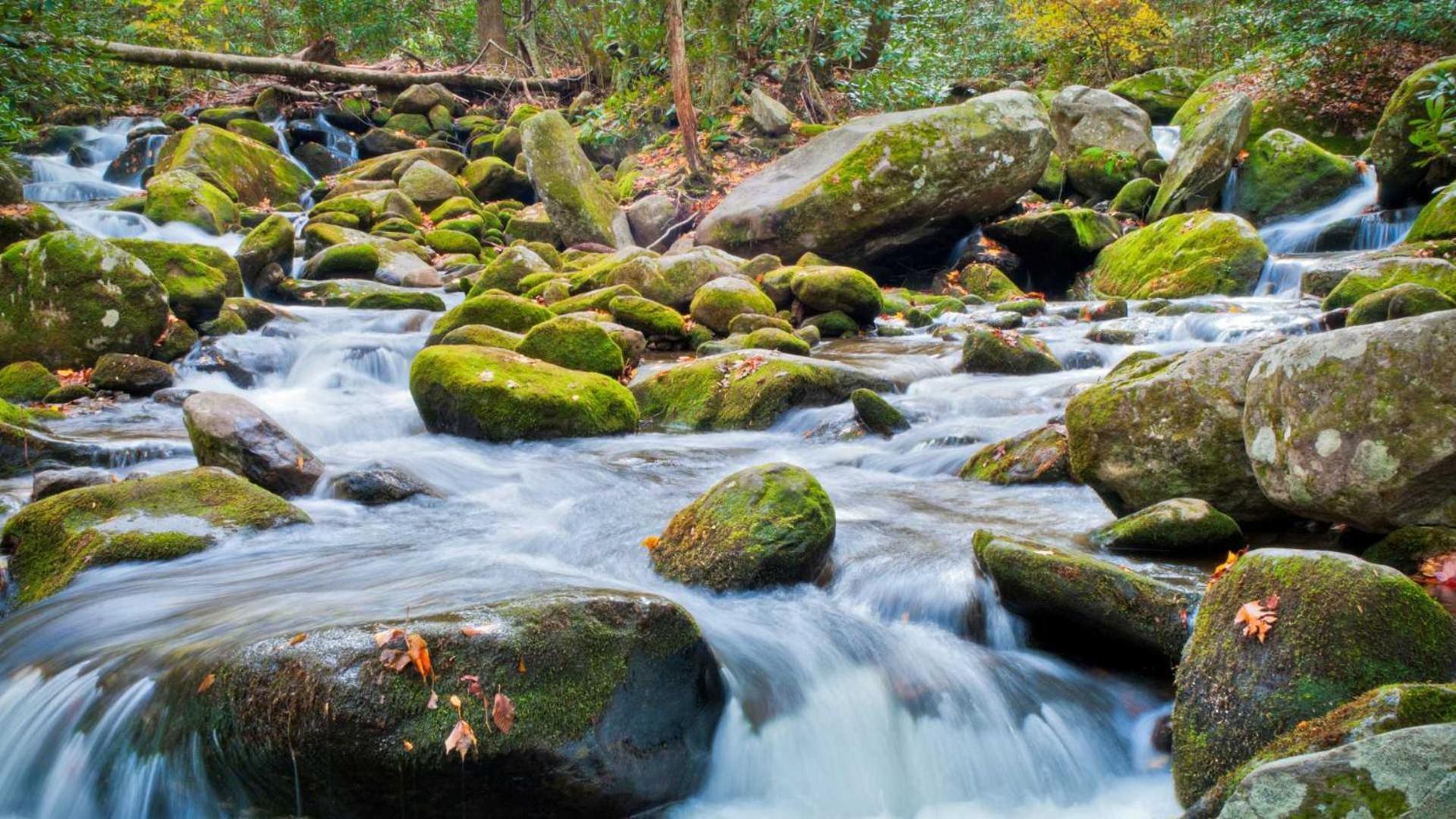 Little Smoky Retreat , 3 Bedroom , Close To Downtown Gatlinburg And Pigeon Forge Buitenkant foto